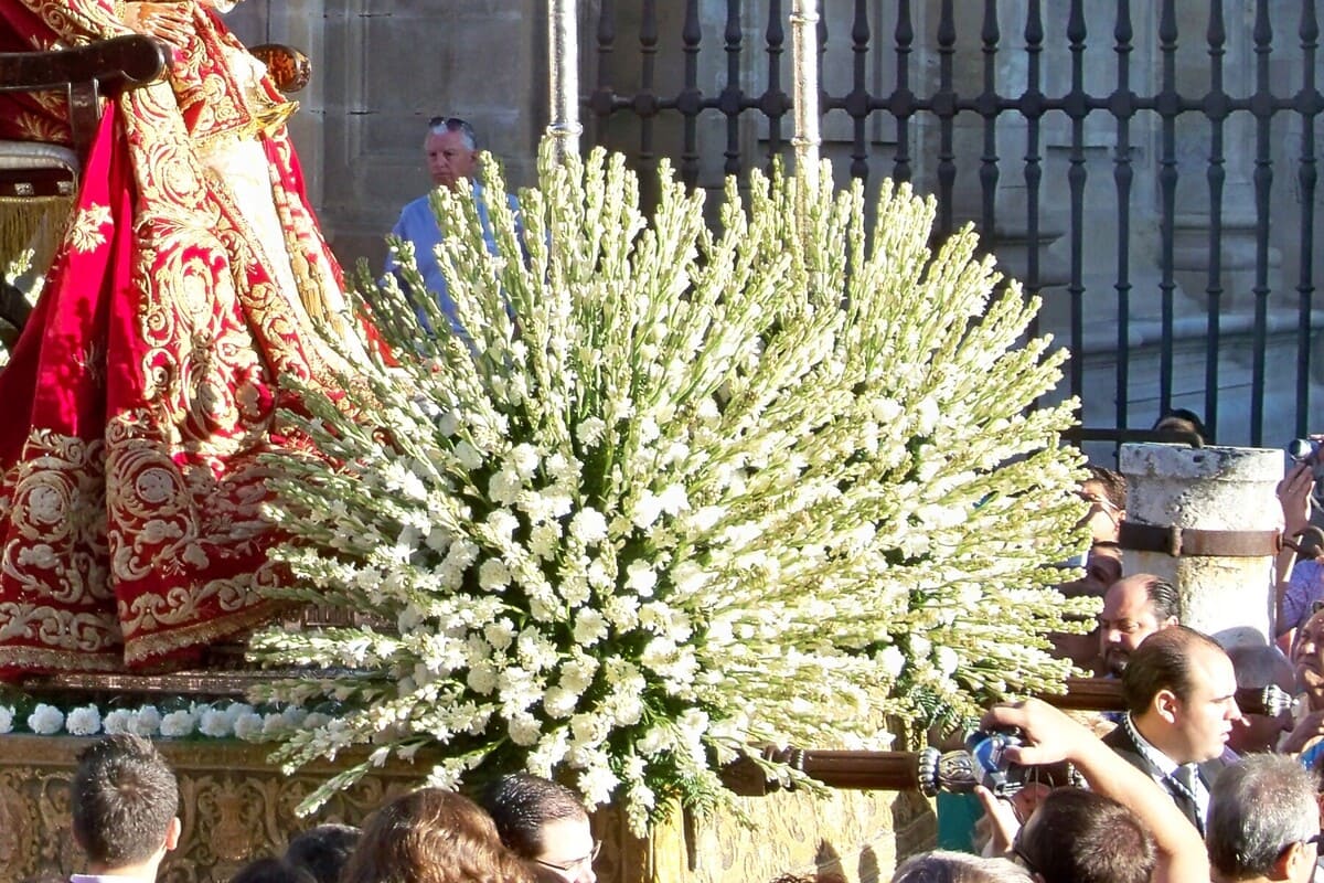 Los nardos • Sevilla Wordle Blog